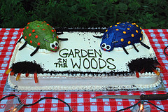 Bug Cake Ideas